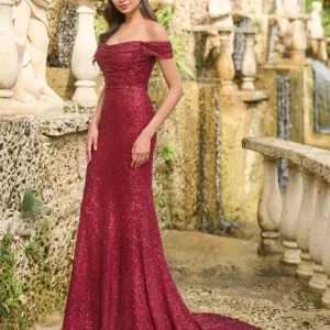 22217 Claret Shiny8